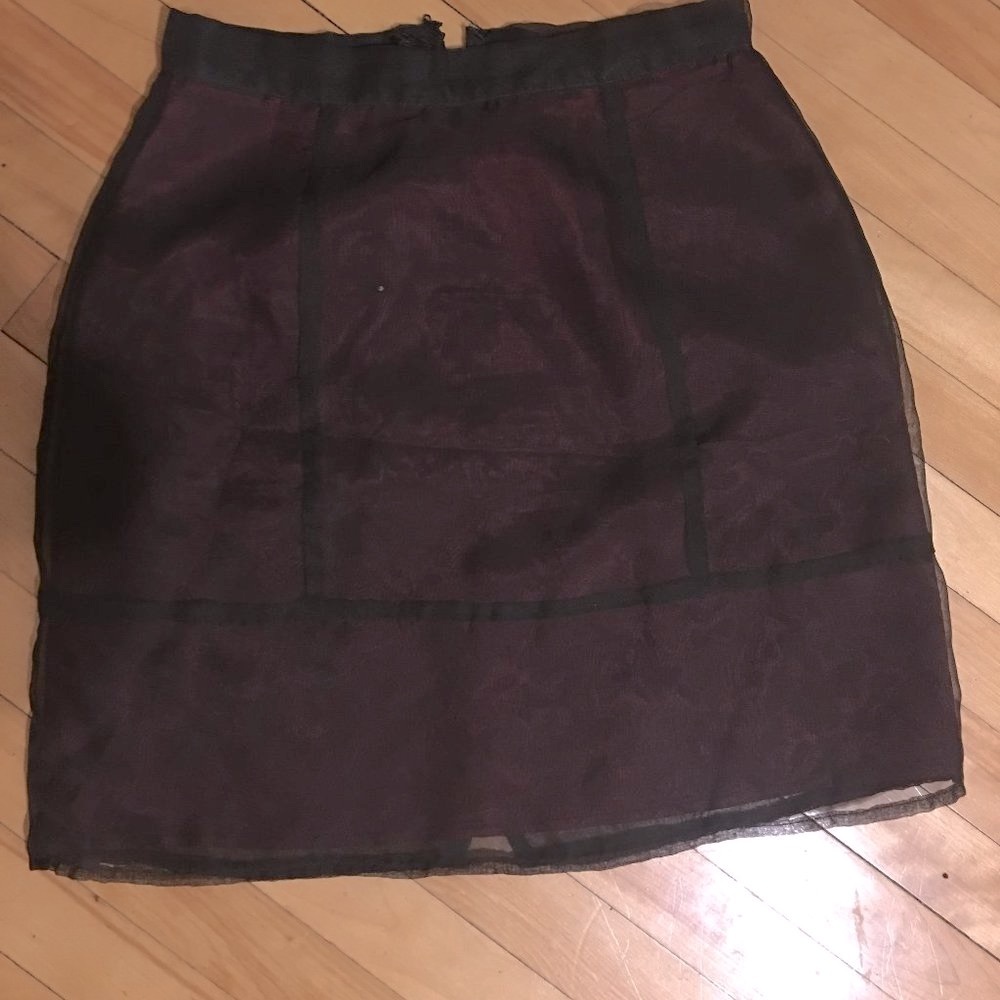 rampage and Purple sheer skirt